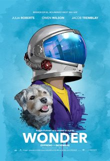 Wonder (2017)